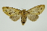  ( - INB0004041803)  @13 [ ] Copyright (2012) Juan Mata Lorenzen Unspecified