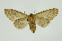  ( - INB0004041803)  @14 [ ] Copyright (2012) Juan Mata Lorenzen Unspecified