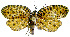  ( - INB0004046502)  @12 [ ] CreativeCommons - Attribution Non-Commercial Share-Alike (2012) National Biodiversity Institute of Costa Rica National Biodiversity Institute of Costa Rica