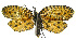  ( - INB0004046502)  @12 [ ] CreativeCommons - Attribution Non-Commercial Share-Alike (2012) National Biodiversity Institute of Costa Rica National Biodiversity Institute of Costa Rica
