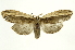  ( - INB0004046577)  @14 [ ] Copyright (2012) J. Montero INBio