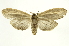  ( - INB0004046577)  @13 [ ] Copyright (2012) J. Montero INBio