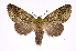  ( - INB0004049773)  @14 [ ] Copyright (2012) I. Chacon Instituto Nacional de Biodiversidad