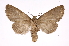  ( - INB0004049773)  @15 [ ] Copyright (2012) I. Chacon Instituto Nacional de Biodiversidad