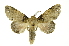  ( - INB0004054656)  @11 [ ] Copyright (2012) Juan Mata Lorenzen Unspecified