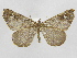  ( - INB0004067241)  @14 [ ] Copyright (2012) J. Montero Instituto Nacional de Biodiversidad