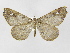  ( - INB0004067241)  @13 [ ] Copyright (2012) J. Montero Instituto Nacional de Biodiversidad