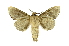  ( - INB0004073327)  @11 [ ] Copyright (2012) Juan Mata Lorenzen Unspecified