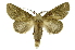  ( - INB0004073496)  @14 [ ] Copyright (2012) Juan Mata Lorenzen Unspecified