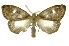  ( - INB0004078648)  @12 [ ] Copyright (2012) Juan Mata Lorenzen Unspecified
