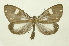  ( - INB0004078936)  @13 [ ] Copyright (2012) Juan Mata Lorenzen Unspecified
