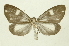  ( - INB0004078936)  @13 [ ] Copyright (2012) Juan Mata Lorenzen Unspecified
