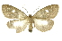  ( - INB0004079365)  @14 [ ] Copyright (2012) Juan Mata Lorenzen Unspecified