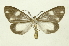  ( - INB0004079415)  @13 [ ] Copyright (2012) Juan Mata Lorenzen Unspecified