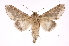 ( - INB0004079741)  @14 [ ] Copyright (2012) I. Chacon Instituto Nacional de Biodiversidad