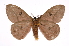  ( - INB0004080860)  @14 [ ] Copyright (2012) I. Chacon Instituto Nacional de Biodiversidad