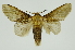  ( - INB0004080904)  @11 [ ] Copyright (2012) Juan Mata Lorenzen Unspecified