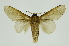  ( - INB0004080904)  @11 [ ] Copyright (2012) Juan Mata Lorenzen Unspecified