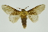  ( - INB0004080905)  @11 [ ] Copyright (2012) Juan Mata Lorenzen Unspecified