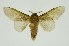  ( - INB0004080905)  @11 [ ] Copyright (2012) Juan Mata Lorenzen Unspecified
