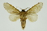  ( - INB0004080907)  @11 [ ] Copyright (2012) Juan Mata Lorenzen Unspecified