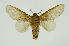  ( - INB0004080908)  @11 [ ] Copyright (2012) Juan Mata Lorenzen Unspecified