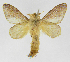  ( - INB0004080921)  @14 [ ] Copyright (2012) J. Montero Instituto Nacional de Biodiversidad