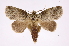  ( - INB0004080991)  @15 [ ] Copyright (2012) I. Chacon Instituto Nacional de Biodiversidad
