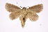  ( - INB0004080991)  @14 [ ] Copyright (2012) I. Chacon Instituto Nacional de Biodiversidad