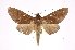  ( - INB0004081025)  @13 [ ] Copyright (2012) I. Chacon Instituto Nacional de Biodiversidad