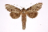  ( - INB0004081028)  @13 [ ] Copyright (2012) I. Chacon Instituto Nacional de Biodiversidad