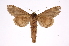 ( - INB0004081028)  @12 [ ] Copyright (2012) I. Chacon Instituto Nacional de Biodiversidad
