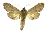  ( - INB0004090932)  @14 [ ] Copyright (2012) Juan Mata Lorenzen Unspecified