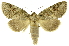  ( - INB0004091036)  @11 [ ] Copyright (2012) Juan Mata Lorenzen Unspecified