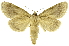  ( - INB0004091036)  @11 [ ] Copyright (2012) Juan Mata Lorenzen Unspecified