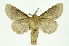  ( - INB0004091131)  @14 [ ] Copyright (2012) Juan Mata Lorenzen Unspecified