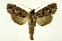  ( - INB0004091230)  @14 [ ] Copyright (2012) Juan Mata Lorenzen Unspecified