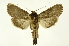  ( - INB0004091230)  @14 [ ] Copyright (2012) Juan Mata Lorenzen Unspecified