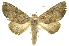 ( - INB0004091271)  @11 [ ] Copyright (2012) Juan Mata Lorenzen INBio