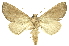  ( - INB0004091271)  @11 [ ] Copyright (2012) Juan Mata Lorenzen INBio