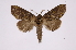  ( - INB0004091350)  @13 [ ] Copyright (2012) I. Chacon Instituto Nacional de Biodiversidad