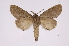  ( - INB0004091350)  @13 [ ] Copyright (2012) I. Chacon Instituto Nacional de Biodiversidad