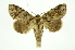  ( - INB0004091434)  @11 [ ] Copyright (2012) Juan Mata Lorenzen Unspecified