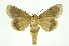  ( - INB0004091434)  @11 [ ] Copyright (2012) Juan Mata Lorenzen Unspecified