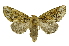  ( - INB0004091445)  @11 [ ] Copyright (2012) Juan Mata Lorenzen Unspecified