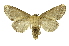  ( - INB0004091445)  @11 [ ] Copyright (2012) Juan Mata Lorenzen Unspecified
