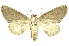  ( - INB0004092841)  @13 [ ] Copyright (2012) Juan Mata Lorenzen INBio