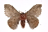  ( - INB0004098457)  @14 [ ] Copyright (2012) I. Chacon Instituto Nacional de Biodiversidad