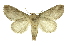  ( - INB0004102296)  @13 [ ] Copyright (2012) Juan Mata Lorenzen Unspecified