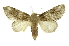  ( - INB0004102302)  @13 [ ] Copyright (2012) Juan Mata Lorenzen Unspecified
